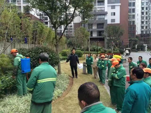 学校绿化工程