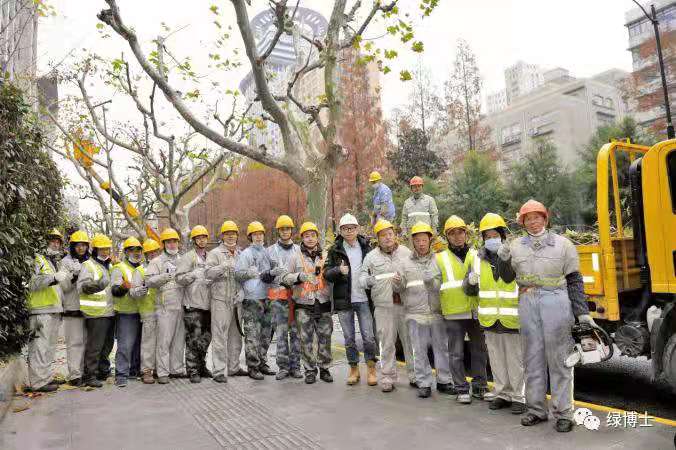 室外绿化养护合照