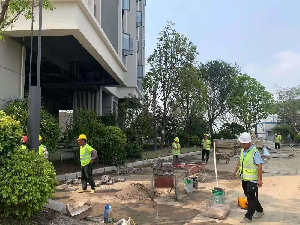 室内盆栽养护