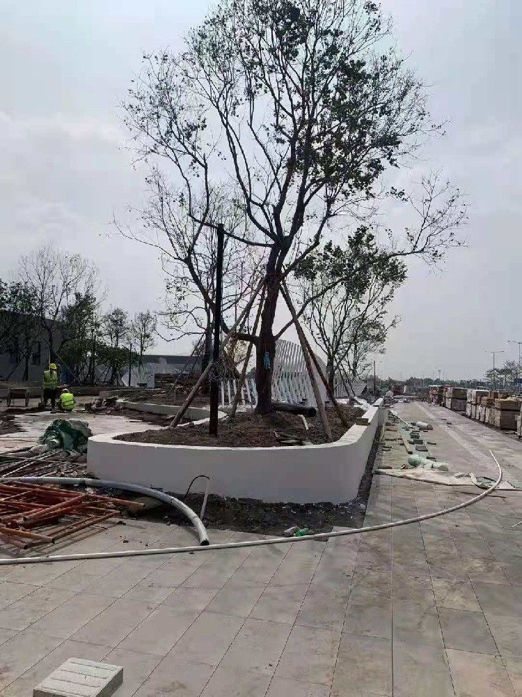 绿化活动交流